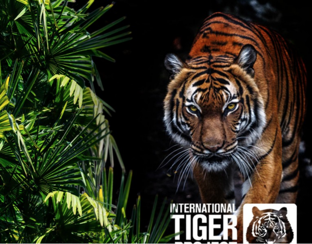UNICA ACTIVE IN WILDLIFE PROTECTION